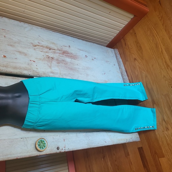 SOFT SURROUNDINGS PANTS - Picture 2 of 9